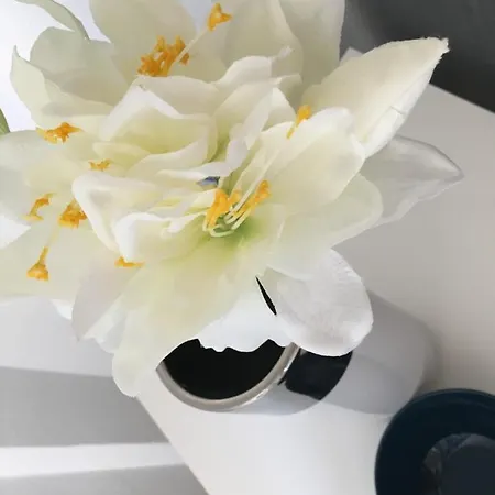 Trinidad Mit Netflix Apartmán